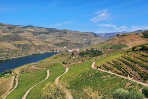 Oporto: Excursión por el Valle del Duero con cata de vinos, tour en barco y almuerzo