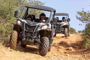 Porto: Tour dello sporco e della polvere con Oporto Buggy