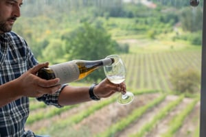 Porto: Smaking av grønn vin og besøk