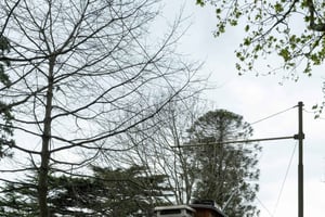 Hoogtepunten van Porto en tram - Privétour