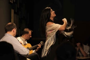 Porto: il concerto di fado tradizionale più apprezzato (centro città)