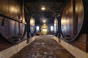 Porto: visita alle cantine del Porto e degustazione di vini alla Fonseca