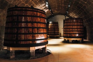 Porto: wycieczka po winnicach Fonseca z degustacją win premium