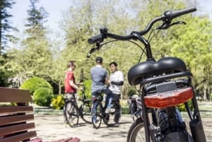 Porto privat tur på elcykel: Douro-floden, parker og strande