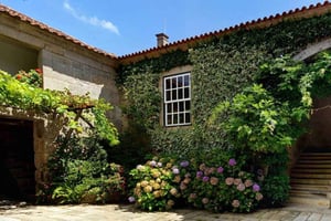 Porto: Yksityinen vihreä viinikierros: Lounas