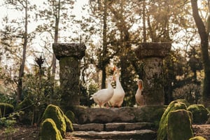 Porto: Qta da Aveleda Enchanted Gardens & Green Wine