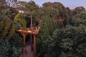 Porto: Toegangsbewijs voor Serralves Park