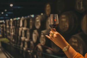 Porto: Taylor's Port Cellar Tour & WOW Museum -paketti