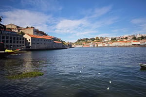 Porto: Den hemmelige slurk – alternativ vintur (V. N. Gaia)