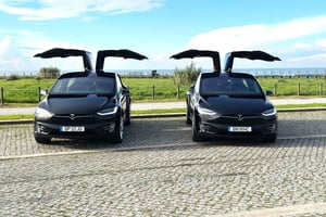 Tesla Premium Private Tours - Porto til Douro-dalen