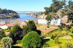 Zen Walking Tour Porto: Finn balansen din 2 timer