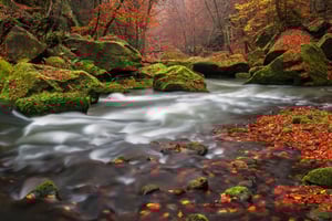 Czeska Szwajcaria: Prywatna 1-dniowa wycieczka z Pragi