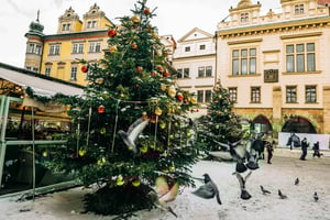Prag - julmarknader Julmarknadsturné med lokal guide