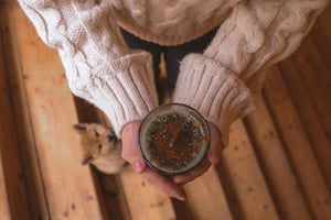 Prag: Workshop zur Herstellung von Sojakerzen