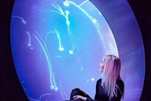 Prag: The World Of Jellyfish Ticket mit Getränk