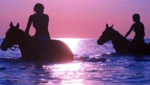 Blue Horizon Boutique Resort