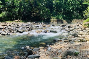 Från betongdjungeln till den riktiga djungeln, komplett paketresa