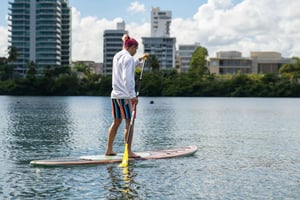 Condado: Aluguer de pranchas de paddleboard