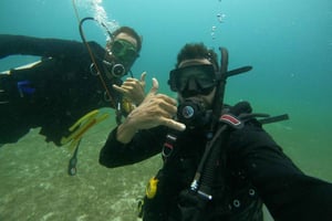 Culebra: Schnorcheln mit Schildkröten