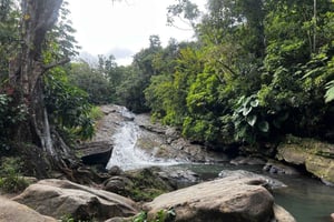 エルユンケ熱帯雨林ウォータースライド＆ルキージョビーチツアー
