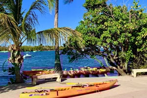 Фахардо: Каякинг по биолюминесцентной лагуне или каякинг при полной луне