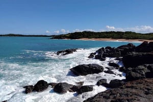 Fajardo : visite de la plage cachée et des mangroves