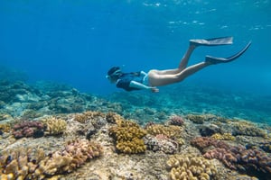 Из Фахардо: лодка и сноркелинг на острове Кулебра с полным пакетом услуг