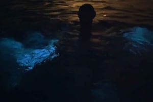 Fra San Juan: Bio Bay Magic og romsmaking