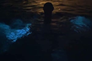 Fra San Juan: Bio Bay Magic og romsmaking