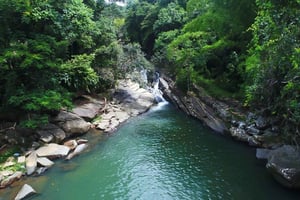 Depuis San Juan : Visite de la forêt d'El Yunque hors des sentiers battus