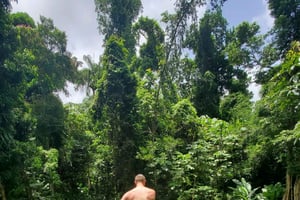 Au départ de San Juan : Forêt tropicale d'El Yunque et plage de Luquillo