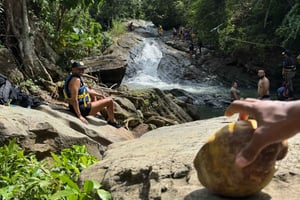 Ab San Juan: El Yunque Regenwald & Luquillo Strand Tour