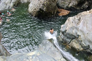 Fra San Juan: El Yunque-vandrutschebane med transport