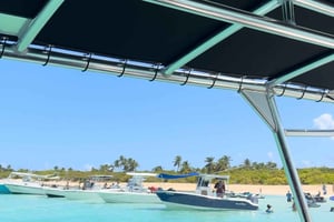 Vanuit San Juan: Vervoer & boot naar Icaco, drankjes & eten