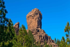 グラン・カナリア島：バスで行く1日VIPツアー