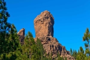 Grande Canarie : visite d'une jounée en bus VIP