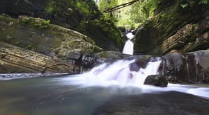 Innovation DMC, Inc.