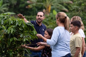 Jayuya: Visita y taller de café en la Hacienda Prosperidad