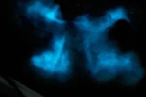 Ла-Паргера: экскурсия на лодке по Биолюминесцентной бухте