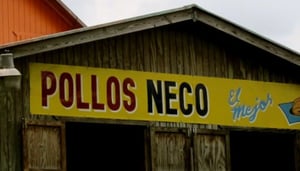Pollos Neco