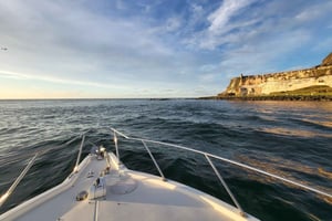 Yksityinen bilevene tai auringonlaskuretki San Juanin lahdella