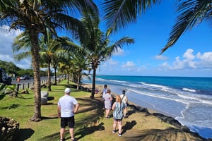 Puerto Rico: Körtur i Old San Juan och längs kusten