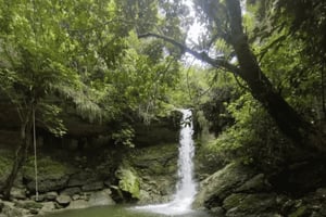 Puerto Rico: Gozalandia Flusswanderung und Wasserfall Tour
