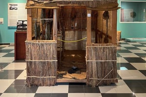 Portoryko: 1-dniowa prywatna wycieczka samochodowa po wyspie