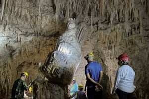 San Juan: tour del canyon e delle grotte del fiume Camuy con servizio di trasferimento