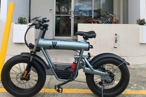 San Juan: E-Bike Rental