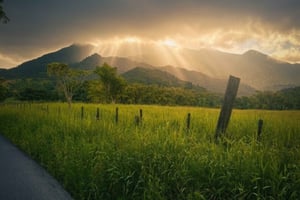 San Juan: El Yunque Tour Escorrega de Água, Baloiço de Corda e Recolha