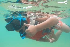 San Juan: Snorkleeventyr for barn og familie med videoer
