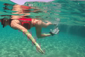 San Juan: Snorkling med skilpadder og gratis videoer