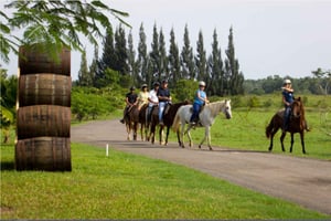 Живописный опыт верховой езды